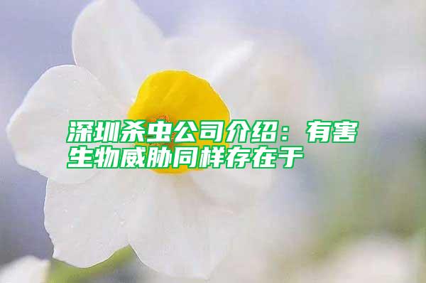 深圳杀虫公司介绍：有害生物威胁同样存在于