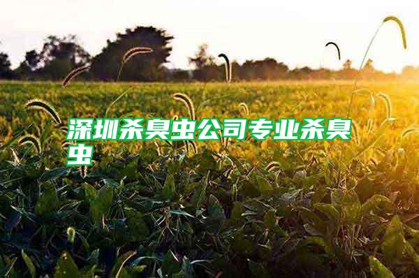 深圳杀臭虫公司专业杀臭虫