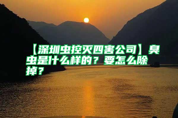 【深圳虫控灭四害公司】臭虫是什么样的？要怎么除掉？