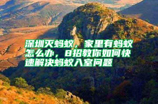 深圳灭蚂蚁，家里有蚂蚁怎么办，8招教你如何快速解决蚂蚁入室问题