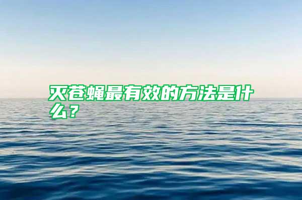 灭苍蝇最有效的方法是什么？