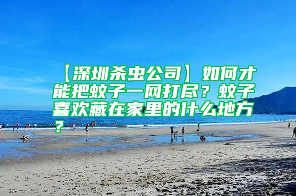 【深圳杀虫公司】如何才能把蚊子一网打尽？蚊子喜欢藏在家里的什么地方？