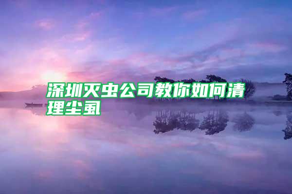 深圳灭虫公司教你如何清理尘虱