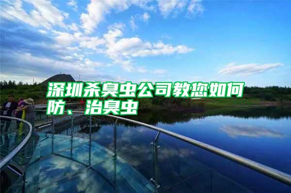 深圳杀臭虫公司教您如何防、治臭虫