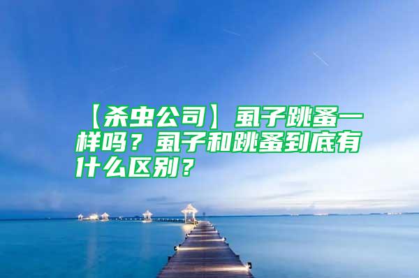 【杀虫公司】虱子跳蚤一样吗？虱子和跳蚤到底有什么区别？