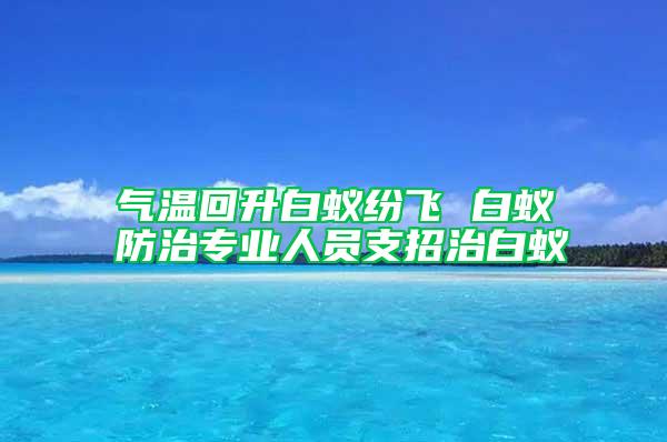 气温回升白蚁纷飞 白蚁防治专业人员支招治白蚁