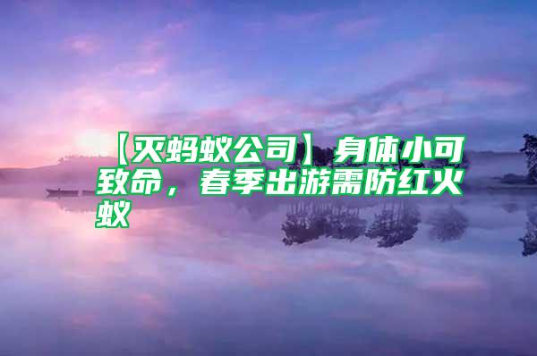 【灭蚂蚁公司】身体小可致命，春季出游需防红火蚁