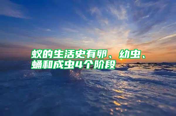 蚁的生活史有卵、幼虫、蛹和成虫4个阶段