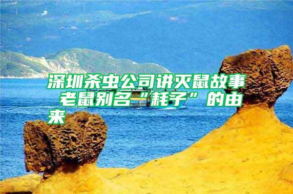 深圳杀虫公司讲灭鼠故事 老鼠别名“耗子”的由来