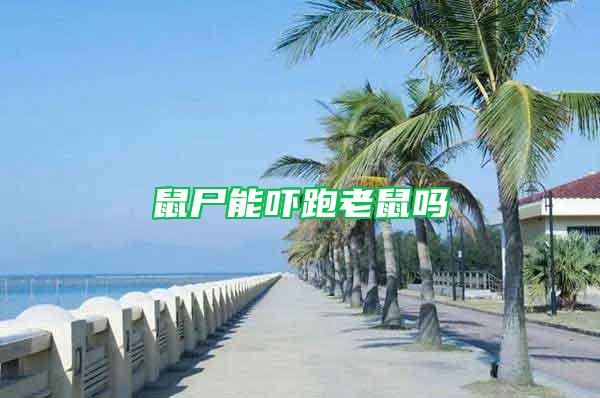 鼠尸能吓跑老鼠吗