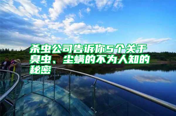 杀虫公司告诉你5个关于臭虫、尘螨的不为人知的秘密