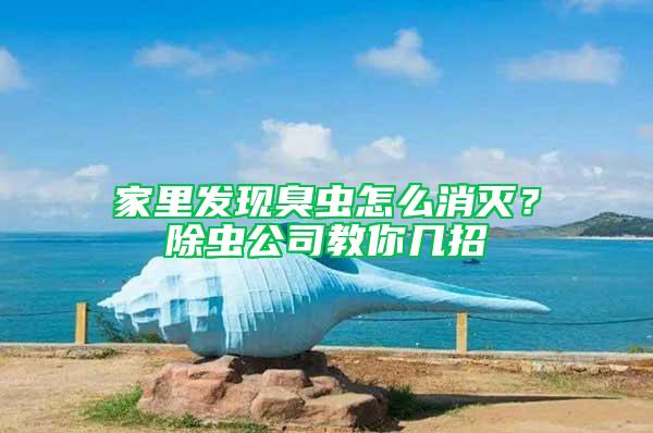 家里发现臭虫怎么消灭？除虫公司教你几招