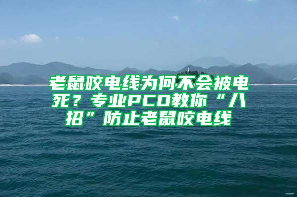 老鼠咬电线为何不会被电死？专业PCO教你“八招”防止老鼠咬电线