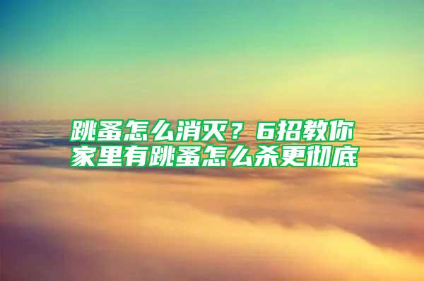 跳蚤怎么消灭？6招教你家里有跳蚤怎么杀更彻底