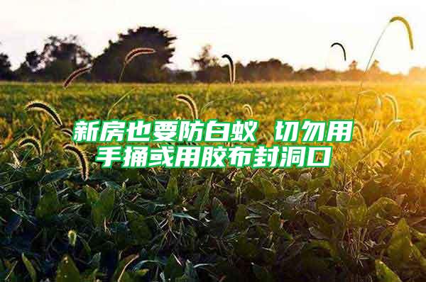 新房也要防白蚁 切勿用手捅或用胶布封洞口