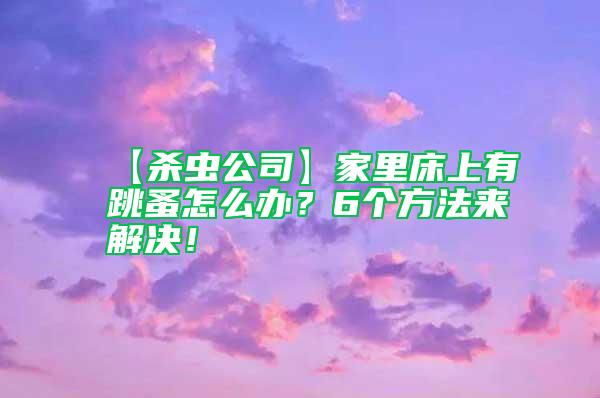 【杀虫公司】家里床上有跳蚤怎么办？6个方法来解决！