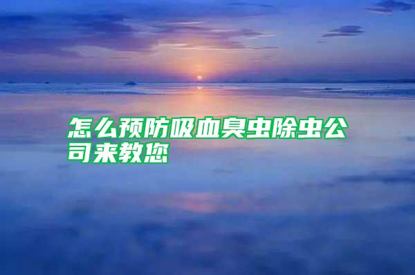 怎么预防吸血臭虫除虫公司来教您