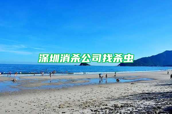 深圳消杀公司找杀虫