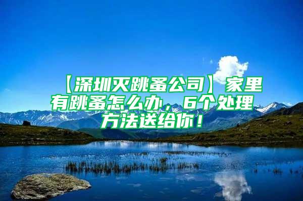 【深圳灭跳蚤公司】家里有跳蚤怎么办，6个处理方法送给你！