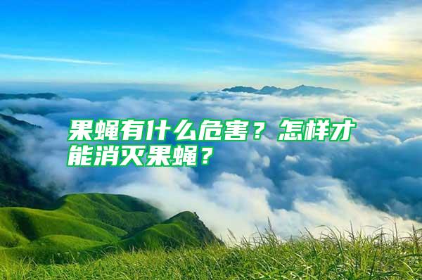 果蝇有什么危害？怎样才能消灭果蝇？