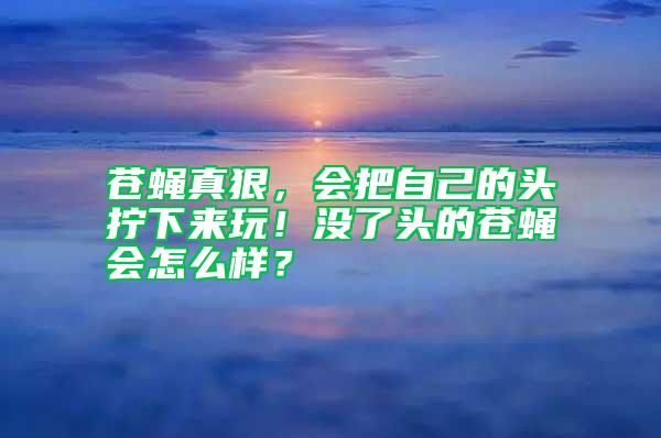 苍蝇真狠，会把自己的头拧下来玩！没了头的苍蝇会怎么样？