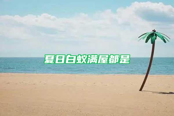 夏日白蚁满屋都是