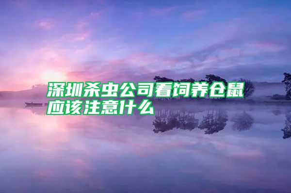 深圳杀虫公司看饲养仓鼠应该注意什么