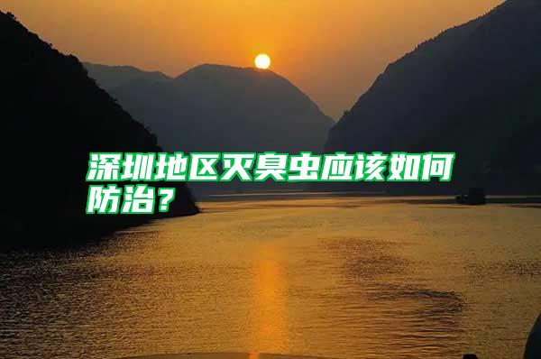 深圳地区灭臭虫应该如何防治？