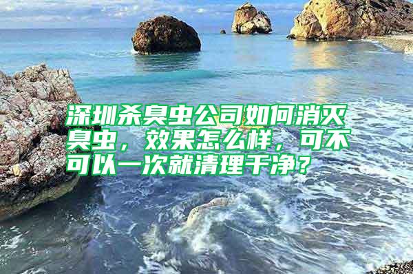 深圳杀臭虫公司如何消灭臭虫，效果怎么样，可不可以一次就清理干净？