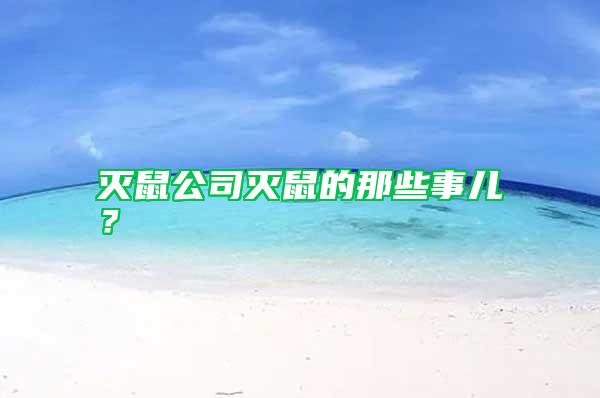 灭鼠公司灭鼠的那些事儿？