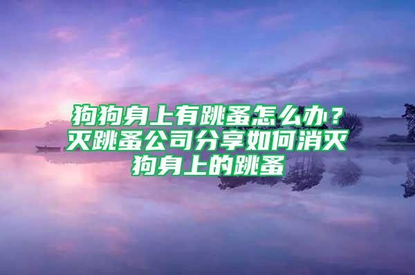 狗狗身上有跳蚤怎么办？灭跳蚤公司分享如何消灭狗身上的跳蚤