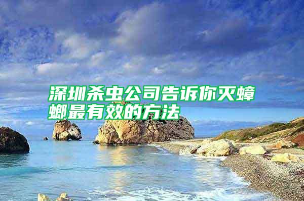 深圳杀虫公司告诉你灭蟑螂最有效的方法