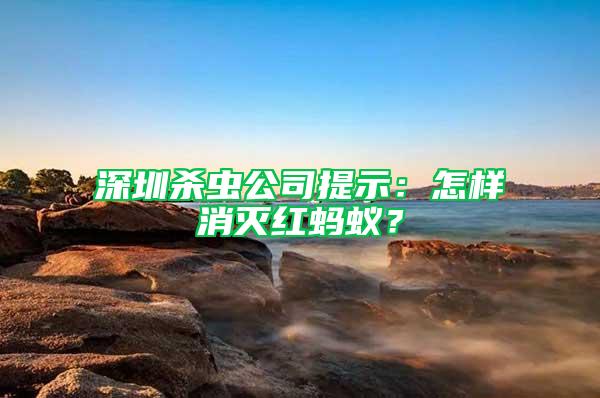 深圳杀虫公司提示：怎样消灭红蚂蚁？