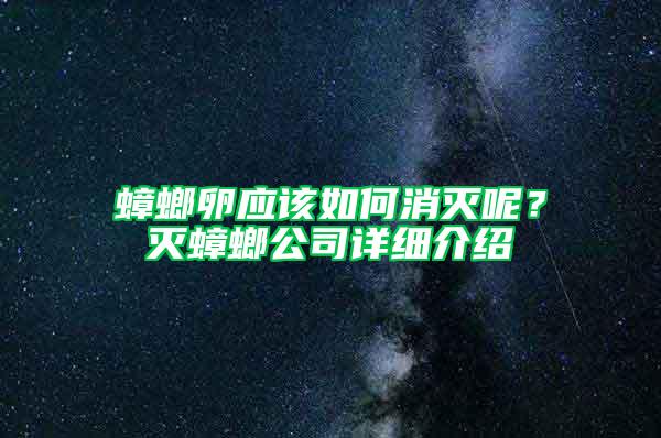 蟑螂卵应该如何消灭呢？灭蟑螂公司详细介绍