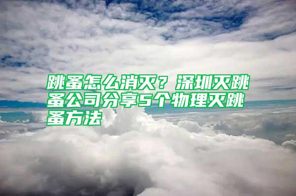 跳蚤怎么消灭？深圳灭跳蚤公司分享5个物理灭跳蚤方法