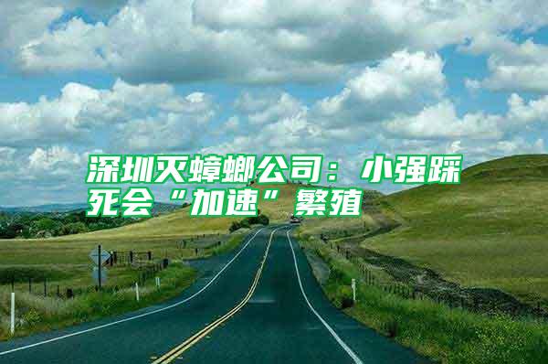 深圳灭蟑螂公司：小强踩死会“加速”繁殖