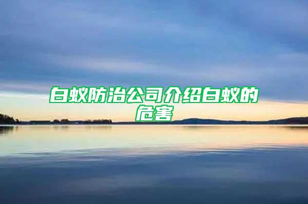 白蚁防治公司介绍白蚁的危害