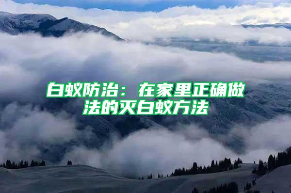 白蚁防治：在家里正确做法的灭白蚁方法