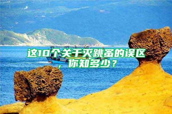 这10个关于灭跳蚤的误区，你知多少？