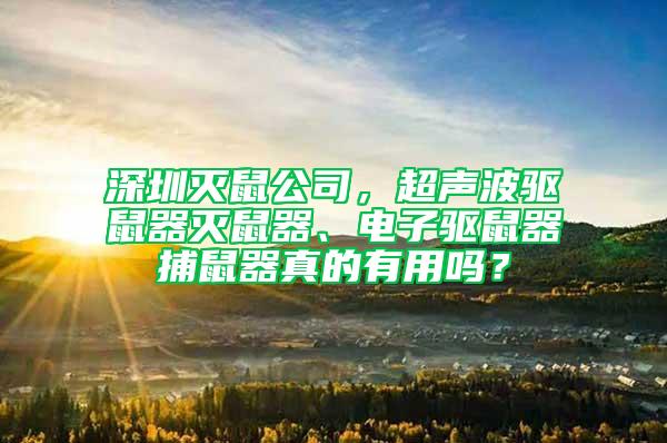 深圳灭鼠公司，超声波驱鼠器灭鼠器、电子驱鼠器捕鼠器真的有用吗？