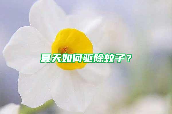 夏天如何驱除蚊子？