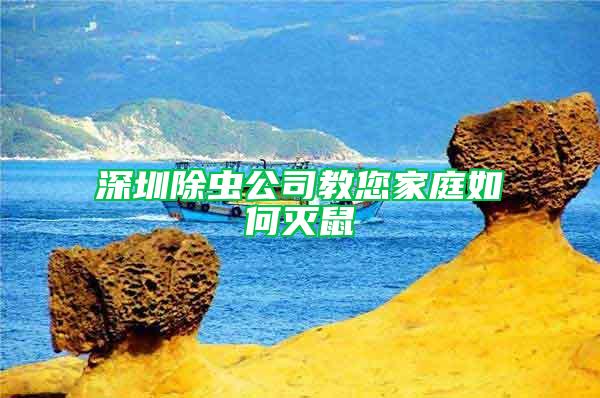 深圳除虫公司教您家庭如何灭鼠