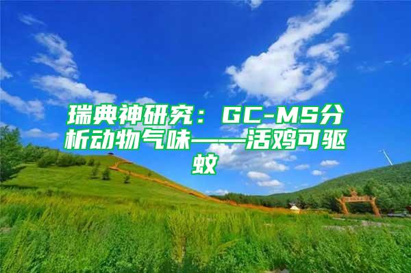 瑞典神研究：GC-MS分析动物气味——活鸡可驱蚊