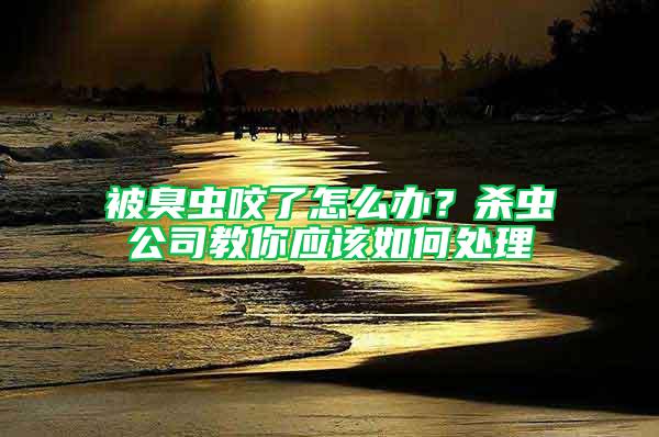 被臭虫咬了怎么办？杀虫公司教你应该如何处理