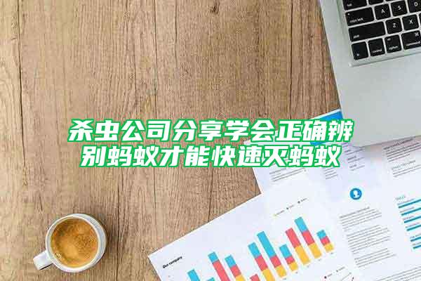 杀虫公司分享学会正确辨别蚂蚁才能快速灭蚂蚁