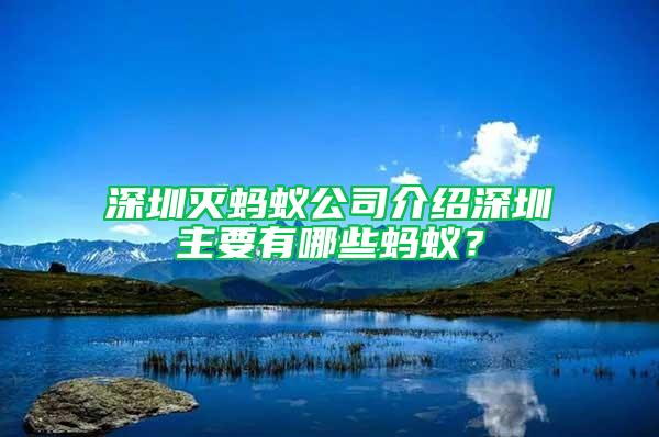 深圳灭蚂蚁公司介绍深圳主要有哪些蚂蚁？