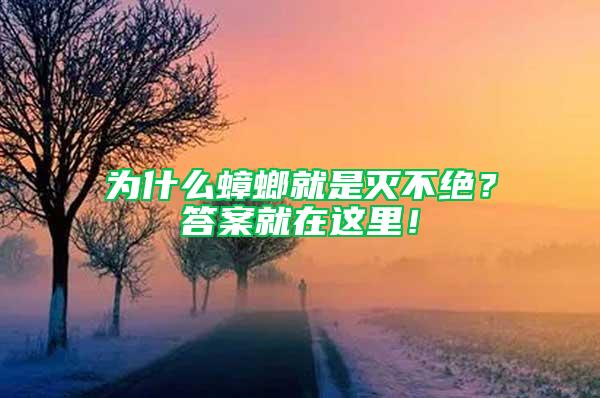 为什么蟑螂就是灭不绝？答案就在这里！