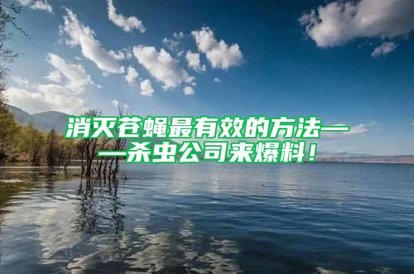 消灭苍蝇最有效的方法——杀虫公司来爆料！