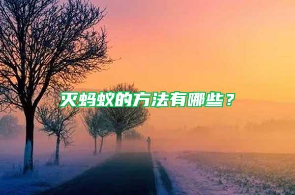 灭蚂蚁的方法有哪些？