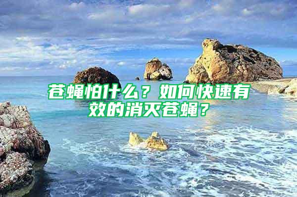 苍蝇怕什么？如何快速有效的消灭苍蝇？